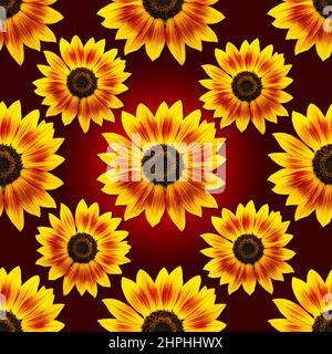 Dwarf Music Box Sonnenblumen Blumen nahtlose Muster-Design auf dunkelrotem Hintergrund. Kann gekachelt werden Stockfoto