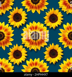 Dwarf Music Box Sonnenblumen Blumen nahtlose Muster-Design auf dunklem Hintergrund. Kann gekachelt werden Stockfoto