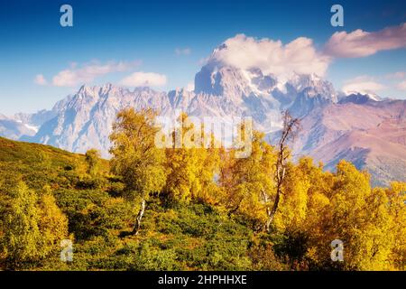 Fantastische Aussicht auf das Alpental mit blauem Himmel am Fuße des Mt. Ushba. Dramatische, malerische Szene. Ort Mestia, Upper Svaneti, Georgia, Europ Stockfoto