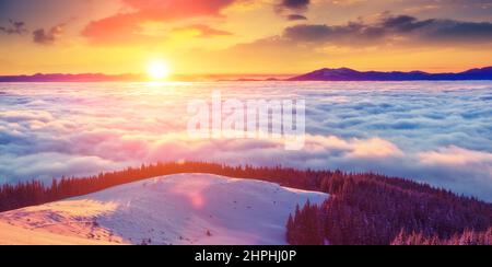 Majestätische neblige Landschaft, die am Morgen durch Sonnenlicht leuchtet. Dramatische und malerische winterliche Szene. Standort Karpaten, Ukraine, Europa. Beauty-Welt Stockfoto