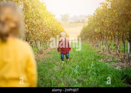 Schönes blondes Kind, das im Sommer zwischen den Reihen im Weinberg zu einem kleinen Mädchen geht, das auf ihn wartet Stockfoto