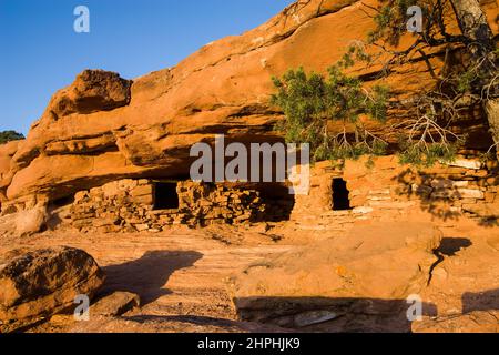 1000 Jahre alte Ruinen der indianischen Ancestral Puebran bei Sonnenuntergang im Canyonlands National Park in der Nähe von Moab, Utah. Ursprünglich als Lagerspeicher für verwendet Stockfoto