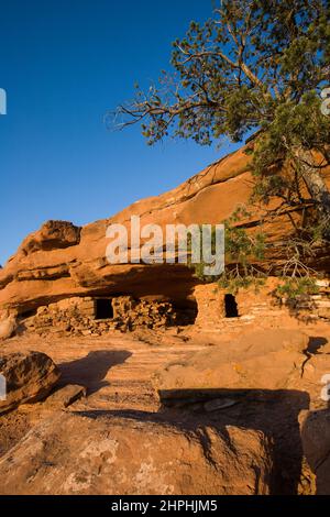 1000 Jahre alte Ruinen der indianischen Ancestral Puebran bei Sonnenuntergang im Canyonlands National Park in der Nähe von Moab, Utah. Ursprünglich als Lagerspeicher für verwendet Stockfoto