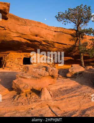 Moonrise über 1000 Jahre alte indianische Ancestral Puebran Ruinen bei Sonnenuntergang im Canyonlands National Park, Moab, Utah. Ursprünglich als Storage gr Stockfoto