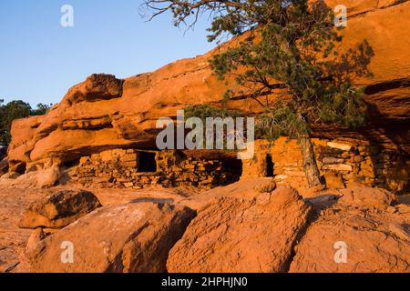 1000 Jahre alte Ruinen der indianischen Ancestral Puebran bei Sonnenuntergang im Canyonlands National Park in der Nähe von Moab, Utah. Ursprünglich als Lagerspeicher für verwendet Stockfoto