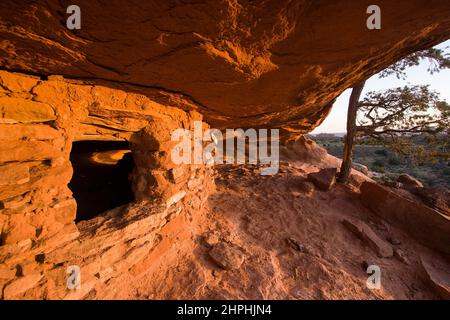 1000 Jahre alte Ruinen der indianischen Ancestral Puebran bei Sonnenuntergang im Canyonlands National Park in der Nähe von Moab, Utah. Ursprünglich als Lagerspeicher für verwendet Stockfoto