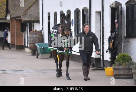 Shishkin, der im Champion Chase Racing Trainer Nicky Henderson läuft, öffnete vor dem Che die Türen seines Hofes Seven Barrows in Lambourn Stockfoto