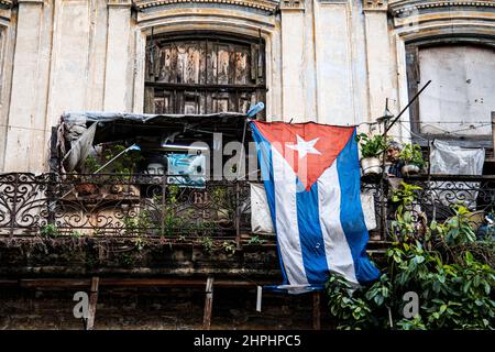 Mann, der auf einem Balkon in Havanna, Kuba, Gartenarbeit leistet, mit Bildern von Fidel Castro und einer großen kubanischen Flagge. Stockfoto