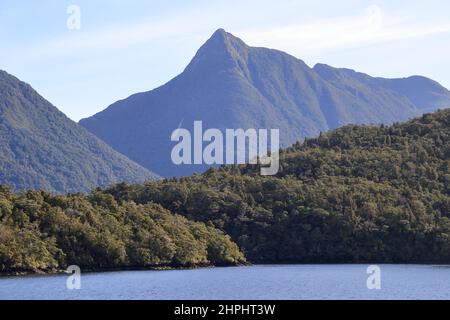 Dusky Sound Fiordland Neuseeland Stockfoto