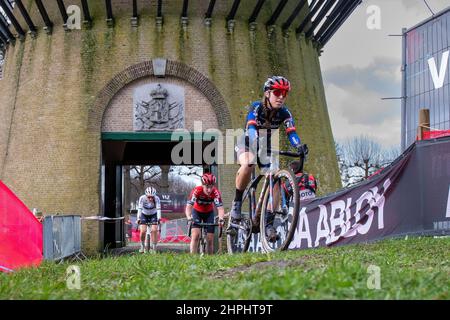 Hulst NIEDERLANDE - Januar 2: VAN ANROOIJ Shirin von BALOISE TREK LIONS, DIE SCHLIMMSTE Annemarie von 777 und DIE MARKE Lucinda von BALOISE TREK LIONS während des V Stockfoto