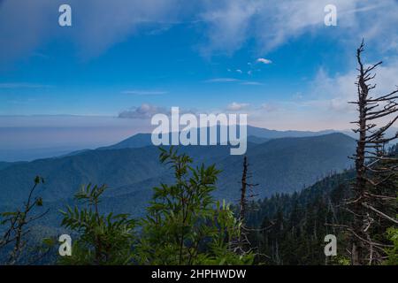 Wechselnde Umgebung in der Nähe des Clingmans Dome im Great Smoky Mountains National Park Stockfoto