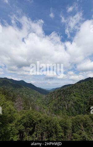 Changing Environment in Morton Overlook im Great Smoky Mountains National Park Stockfoto