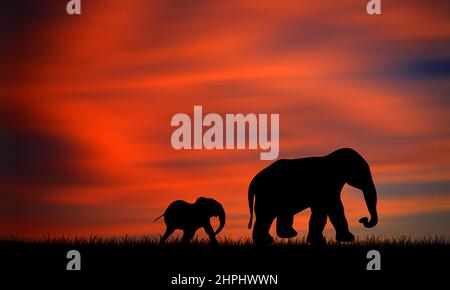 Elefantenmutter und Baby Silhouette laufen gemeinsam auf Gras am wunderschönen Sunset Sky Stockfoto