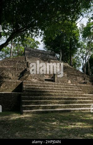 Maya-Pyramide von 'Cahal Pech' im tropischen Dschungel, San Iganacio, Belize Stockfoto