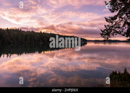 Farbenfrohe, friedliche Sonnenaufgangshimmel-Spiegelungen über Wald und Wasser auf dem Puget Sound, Washington State, Pacific Northwest Stockfoto