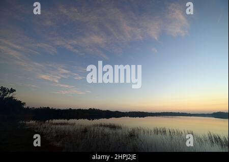 Dunst von vorgeschriebener Verbrennung bei Sonnenaufgang auf Nine Mile Pond im Everglades National Park, Florida. Stockfoto