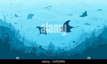Manta Rochen und Stachelrochen, Algen und Riff Unterwasserlandschaft. Meeresboden Leben, Tiefsee Flora und Fauna Vektor Hintergrund mit Korallen und Ozean Anima Stock Vektor