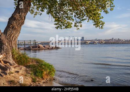 Dnepropetrovsk, Panorama der Stadt, Zentrum und zentrale Brücke am Ufer des Dnjepr, Vordergrundbaum Stockfoto