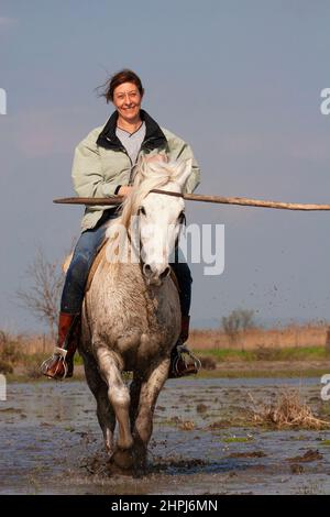 Frau, die in der Provence, Südfrankreich, auf dem Pferd der Camargue durch die Sumpflandschaft reitet Stockfoto