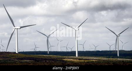 Datei-Foto vom 20/05/19 von Europas größtem Onshore-Windpark Whitelee Windfarm am Stadtrand von Glasgow. Die schottischen Minister werden aufgefordert, bis zum Ende dieses Jahrzehnts ein Ziel festzulegen, das die Kapazität von Onshore-Windparks mehr als verdoppelt. Ausgabedatum: Dienstag, 22. Februar 2022. Stockfoto