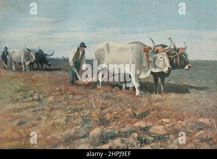 LABOREURS DANS LA CAMPAGNE ROMAINE. Autour Du Monde - Italie 1895 - 1900 (2) - 19. Jahrhundert französischer Farbfotografiedruck Stockfoto