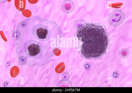 Hodgkin-Lymphom (HL) und Non-hodgkin-Lymphom (NHL)-Zellen im Blutfluss - Nahaufnahme Ansicht 3D Abbildung Stockfoto