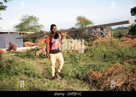 Man sieht einen Mann, der ein Stück Holz trägt, um im Bangula Camp im Bezirk Nsanje eine Grubenlatrine zu bauen. Im Lager Bangula in Malawi leben Binnenvertriebene, deren Häuser vom tropischen Wirbelsturm ana zerstört wurden. Malawi. Stockfoto