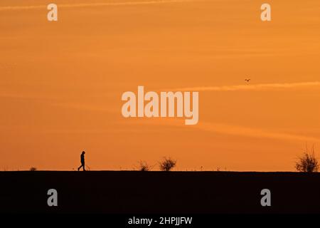 Am frühen Morgen Spaziergänger auf der Meeresmauer im Frampton RSPB Reserve Lincolnshire Stockfoto