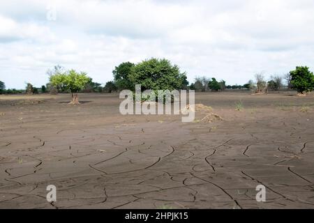 Im Chikwawa-Distrikt in Malawi wird nach dem Austrocknen der Flutwässer eine geknackte Erde gesehen. Malawi. Stockfoto