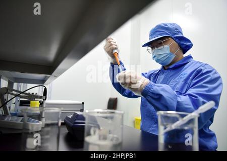 ZHANGJIAKOU, CHINA - 22. FEBRUAR 2022 - Am Februar Arbeitet Ein Techniker im Umweltschutzlabor in Zhangjiakou, Provinz Hebei, China Stockfoto