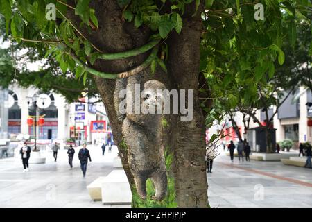 Chongqing, Chongqing, China. 22nd. Februar 2022. Am 22. Februar 2022 begann der ''Zoo'' auf dem Baum in der Jiefangbei-Fußgängerzone in Chongqing.vor kurzem, in der Jiefangbei des Yuzhong-Bezirks, Chongqing, wo beliebte Check-in-Punkte gesammelt werden, hat ein ''Zoo'' auf einem Baum begonnen, Aufmerksamkeit zu erregen. Der Reporter sah auf der Minzu Road, der Jiefangbei Fußgängerzone, dass in der Mitte der geraden Straße zwei Reihen von dichten gelben Wacholderbäumen sind. Mehr als ein Dutzend Tiere, darunter das ''Lightning''-Faultier in ''Zootopia'' und das ''Timan''-Erdmännchen in ''The Lion King''. Die Gemälde sind lebensecht und Stockfoto