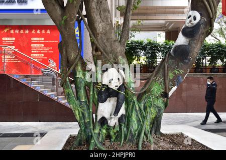 Chongqing, Chongqing, China. 22nd. Februar 2022. Am 22. Februar 2022 begann der ''Zoo'' auf dem Baum in der Jiefangbei-Fußgängerzone in Chongqing.vor kurzem, in der Jiefangbei des Yuzhong-Bezirks, Chongqing, wo beliebte Check-in-Punkte gesammelt werden, hat ein ''Zoo'' auf einem Baum begonnen, Aufmerksamkeit zu erregen. Der Reporter sah auf der Minzu Road, der Jiefangbei Fußgängerzone, dass in der Mitte der geraden Straße zwei Reihen von dichten gelben Wacholderbäumen sind. Mehr als ein Dutzend Tiere, darunter das ''Lightning''-Faultier in ''Zootopia'' und das ''Timan''-Erdmännchen in ''The Lion King''. Die Gemälde sind lebensecht und Stockfoto