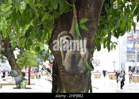 Chongqing, Chongqing, China. 22nd. Februar 2022. Am 22. Februar 2022 begann der ''Zoo'' auf dem Baum in der Jiefangbei-Fußgängerzone in Chongqing.vor kurzem, in der Jiefangbei des Yuzhong-Bezirks, Chongqing, wo beliebte Check-in-Punkte gesammelt werden, hat ein ''Zoo'' auf einem Baum begonnen, Aufmerksamkeit zu erregen. Der Reporter sah auf der Minzu Road, der Jiefangbei Fußgängerzone, dass in der Mitte der geraden Straße zwei Reihen von dichten gelben Wacholderbäumen sind. Mehr als ein Dutzend Tiere, darunter das ''Lightning''-Faultier in ''Zootopia'' und das ''Timan''-Erdmännchen in ''The Lion King''. Die Gemälde sind lebensecht und Stockfoto