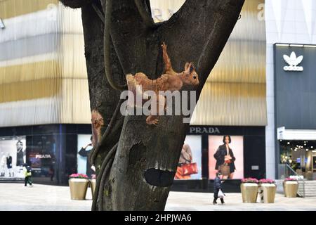 Chongqing, Chongqing, China. 22nd. Februar 2022. Am 22. Februar 2022 begann der ''Zoo'' auf dem Baum in der Jiefangbei-Fußgängerzone in Chongqing.vor kurzem, in der Jiefangbei des Yuzhong-Bezirks, Chongqing, wo beliebte Check-in-Punkte gesammelt werden, hat ein ''Zoo'' auf einem Baum begonnen, Aufmerksamkeit zu erregen. Der Reporter sah auf der Minzu Road, der Jiefangbei Fußgängerzone, dass in der Mitte der geraden Straße zwei Reihen von dichten gelben Wacholderbäumen sind. Mehr als ein Dutzend Tiere, darunter das ''Lightning''-Faultier in ''Zootopia'' und das ''Timan''-Erdmännchen in ''The Lion King''. Die Gemälde sind lebensecht und Stockfoto