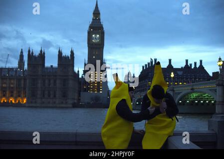 Zwei Männer, die als Bananen gekleidet sind, versuchen vor dem Londoner Parlamentsgebäude eine Zigarette anzuzünden Stockfoto