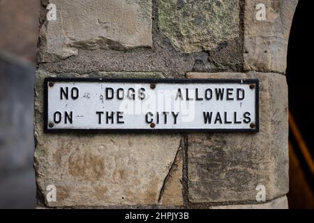 Alt schwarz und weiß Hunde sind auf dem Schild der Stadtmauer nicht erlaubt. Alte Steinmauer dahinter. Stockfoto