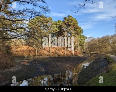 Der Wasserstand entlang des Basingstoke Canal zwischen Deepcut und Pirbright in Surrey ist niedrig Stockfoto