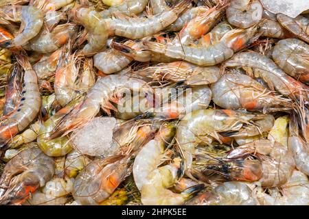 Viele Garnelen auf dem Markt, Garnelen auf Eis, viele frische rohe ganze gekühlt. Stockfoto