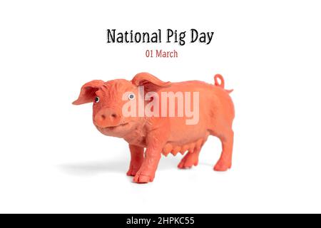 Der 1National. März, der jährlich am 1st. März gefeiert wird, ist die perfekte Zeit, um zu feiern, wie Schweine ein Teil der amerikanischen Kultur geworden sind. Begrüßung Stockfoto