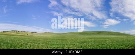 Panoramablick auf sanft geschwungene Hügel der Toskana folgen der Form der Meereswellen. Val d'Orcia, Italien Stockfoto