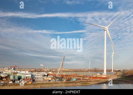 Blick auf das holländische Industriegebiet Kleefse Waard in Arnhem, Niederlande Stockfoto