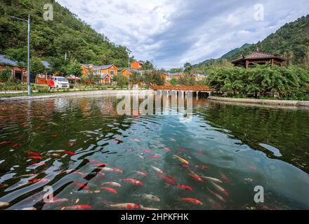 Funiu Bezirk der westlichen henan ländlichen Haus bleiben Anlage Stockfoto