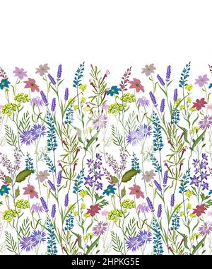 Handgezeichneter Vektor nahtlose Grenze von wilden Blumen und Kräutern. Blumenwiese. Pflanzliche Grafik Illustration oder Hintergrund Stock Vektor