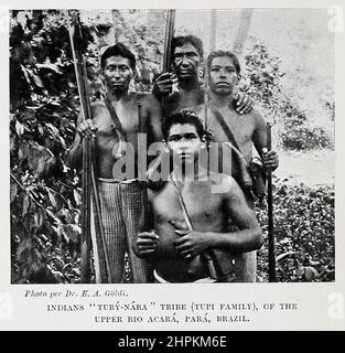 Indianer des 'tury-Nara'-Stammes (Tupi-Familie), des oberen Rio acara, para, Brasilien aus dem Buch 'die lebenden Rassen der Menschheit' eine beliebte illustrierte Darstellung der Bräuche, Gewohnheiten, Verfolgungen, Feste und Zeremonien der Rassen der Menschheit auf der ganzen Welt von Sir Harry Hamilton Johnston, Und Henry Neville Hutchinson Band 2 Veröffentlicht in London von Hutchinson & Co. Im Jahr 1902 Stockfoto