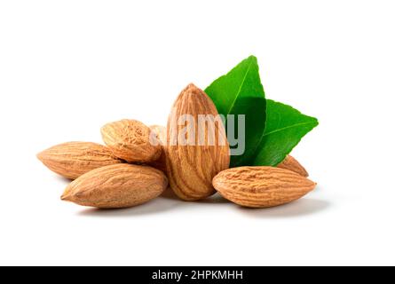 Mandelnuss mit Blättern isoliert auf weißem Hintergrund. Sie sind sehr nahrhaft und reich an gesunden Fetten oder HDL-Cholesterin (High-Density Lipoprotein) Stockfoto