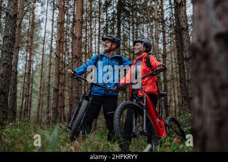 Ältere Biker mit E-Bikes bewundern die Natur im Wald am Herbsttag. Stockfoto