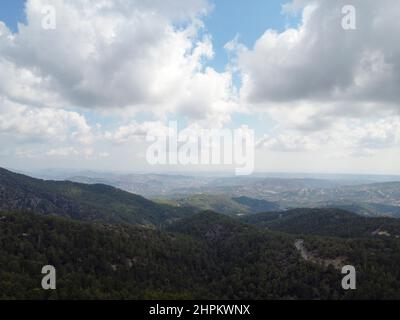 Immergrüne Pinien wachsen in Wolken im hohen Troodos-Gebirge auf Zypern Stockfoto