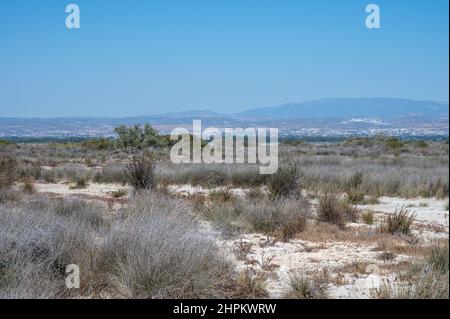 Zu Fuß zum Limassol Salzsee, sonnengetrocknetes Gras und Blick auf Limassol am Horizont in suny Tag Stockfoto