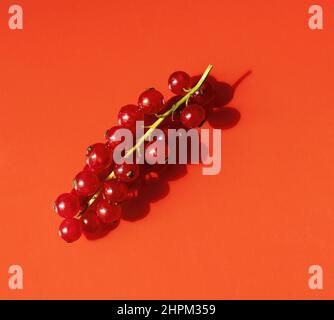 Draufsicht auf einen Haufen roter Johannisbeeren auf orangefarbenem Hintergrund Stockfoto