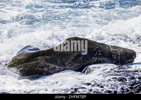 Gezeiten brechen über einem ungewöhnlich geformten Felsen an einem steinigen Strand in der Nähe von Playa de San Juan, Teneriffa, Kanarische Inseln, Spanien Stockfoto